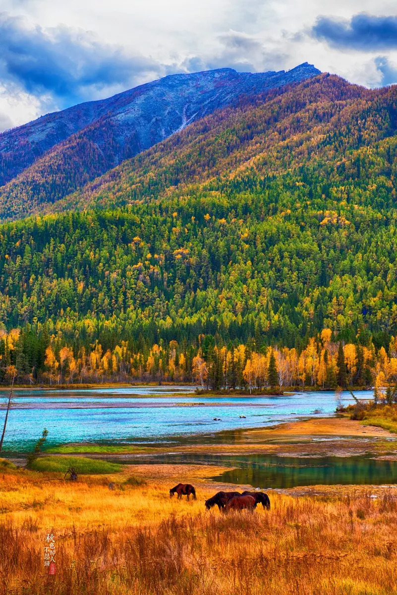 新疆之光，引领科技生活新纪元的领先高科技产品介绍